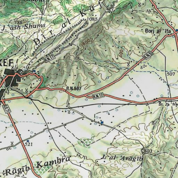 Tunissia Topo 250k Topo