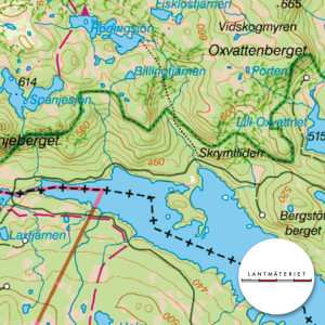 Sweden Topo Mosaic