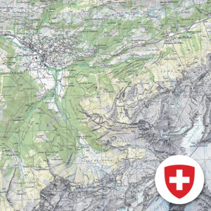 Switzerland Topo Mosaic